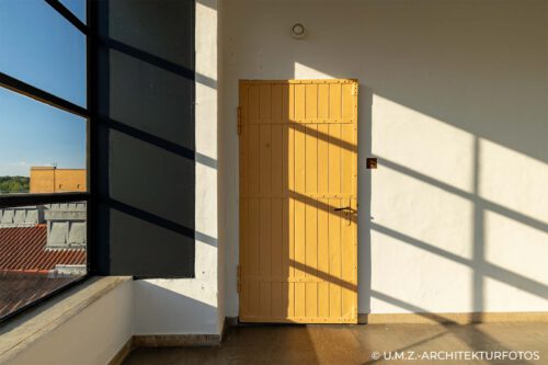 IF_Fagus_111_UMZ_05_hd